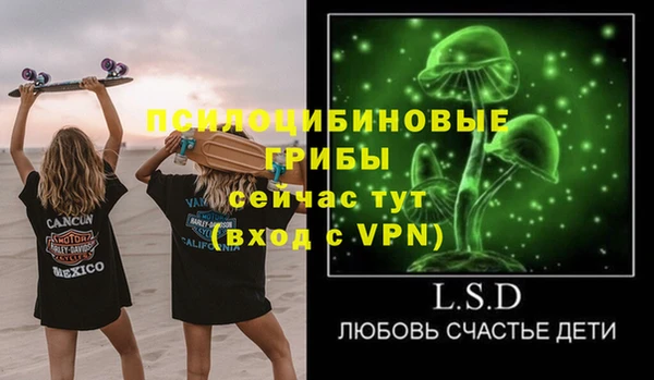 сатива Тобольск